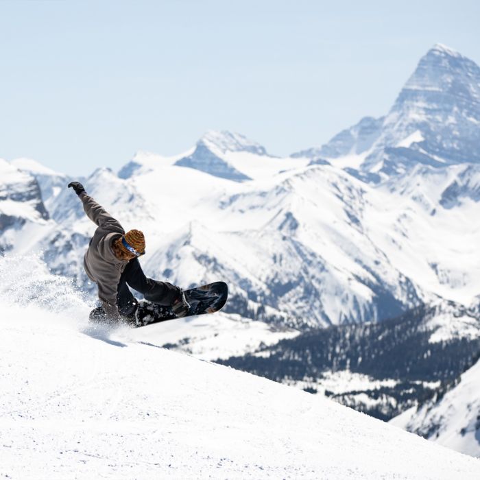 Lib Tech Dynamo [2026]